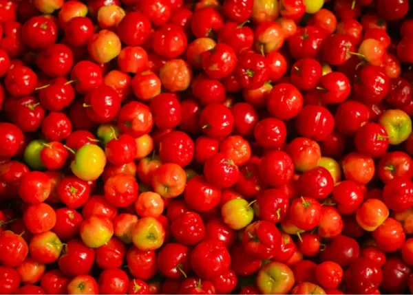 ACEROLA POR KG  / JORGE MOLINA GARCIA