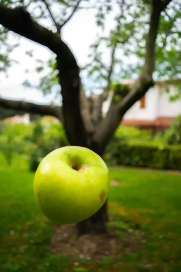 MANZANA VERDE POR UNIDAD  /  VALLE LA RINCONADA
