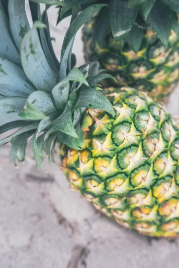 PIÑA POR UNIDAD  /  VALLE LA RINCONADA
