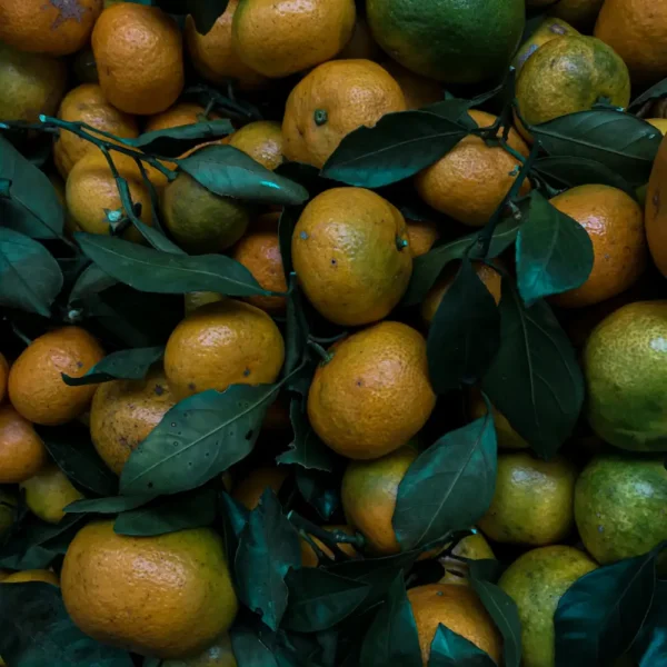LIMON MANDARINA POR 100 UND / JOSE CHOQUE CORTEZ / MAIRANA